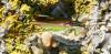 62836 – Photo : David Guedon – France (76)