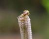 62586 – Photo : Renaud Torres – France (44)