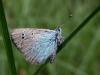 63164 – Photo : Gilles SALAMA – France (81)