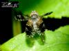 63692 – Photo : Jean Claude Lutrand – France (76)