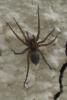 63811 – Photo : Nicolas Alric – France (12)