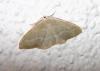 63124 – Photo : Arnaud Jean-Pierre – France (09)
