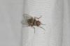 63326 – Photo : Nicolas Alric – France (12)