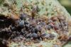 63133 – Photo : basc – France (20)