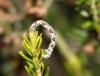 63076 – Photo : Denis Vandromme – France (36)