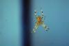 64147 – Photo : Sophie Marrec – France (75)