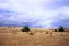 64859 – Photo : Arnaud Ville – France (48)