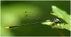 64855 – Photo : Benoit Guillon – Laos