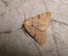 64151 – Photo : Arnaud Jean-Pierre – France (09)