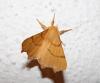 64454 – Photo : Arnaud Jean-Pierre – France (09)