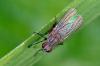 64057 – Photo : Christophe Quintin – France (21)