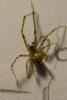 64050 – Photo : Nicolas Alric – France (12)