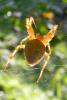 64074 – Photo : Nicolas Alric – France (12)