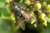 64107 – Photo : Nicolas Alric – France (12)