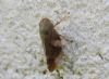 64221 – Photo : Nicolas Alric – France (12)