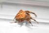 64241 – Photo : Nicolas Alric – France (12)