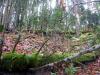 64760 – Photo : Clement Morin – France (74)