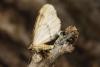 64742 – Photo : Daniel Morel – France (71)