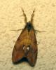 64068 – Photo : Guillaume JACQUEMIN – France (74)