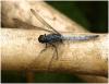 64974 – Photo : Benoit Guillon – Laos