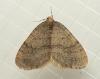 64444 – Photo : Louis Weitten – France (57)