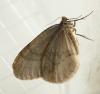 64445 – Photo : Louis Weitten – France (57)