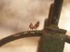 64044 – Photo : Philippe Dauphin – France (83)