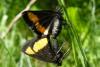 64177 – Photo : Sandor31 – Espagne