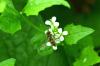 64863 – Photo : Michel Renou – France (91)