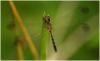 65439 – Photo : Benoit Guillon – Laos