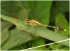 65194 – Photo : Benoit Guillon – Laos