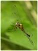 65223 – Photo : Benoit Guillon – Laos