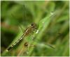 65224 – Photo : Benoit Guillon – Laos