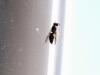 65967 – Photo : Jerome Carminati – France (39)