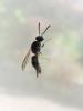 65919 – Photo : Jerome Carminati – France (39)