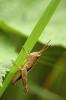 65714 – Photo : Juliane Casquet – France (12)