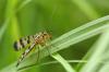 65340 – Photo : Juliane Casquet – France (12)