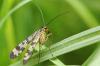 65341 – Photo : Juliane Casquet – France (12)