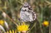 65954 – Photo : Thierry Madigou – Grèce