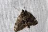 65251 – Photo : Liboupat – France (05)