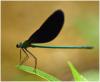 65028 – Photo : Benoit Guillon – Laos
