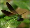 65036 – Photo : Benoit Guillon – Laos