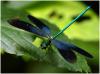 65029 – Photo : Benoit Guillon – Laos