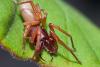 65867 – Photo : Mats Carnmarker – Espagne