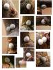65468 – Photo : Guillaume Chorgnon – France (42)