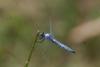 65095 – Photo : Camille Denoziere – France (91)