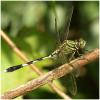 65662 – Photo : Benoit Guillon – Laos