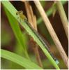 65147 – Photo : Benoit Guillon – Laos