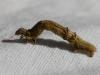 65491 – Photo : Mael Garrin – France (22)