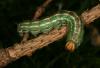 65099 – Photo : Daniel Morel – France (71)